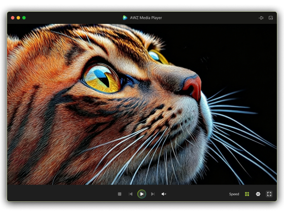 Playback video on macOS with AWZ Media Player for Mac